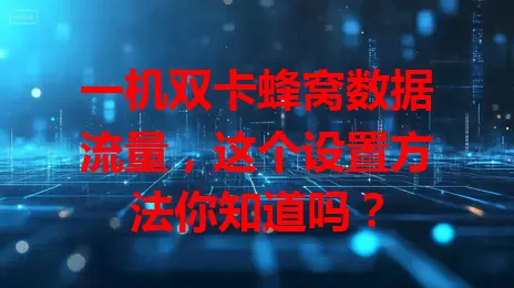一机双卡蜂窝数据流量，这个设置方法你知道吗？