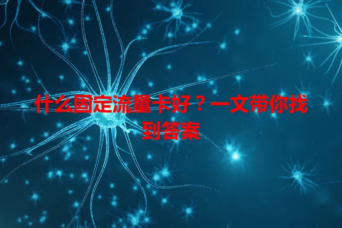 什么固定流量卡好？一文带你找到答案