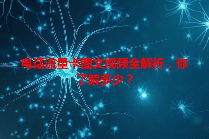 电话流量卡图文视频全解析，你了解多少？