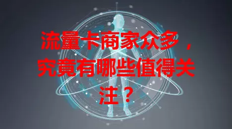 流量卡商家众多，究竟有哪些值得关注？