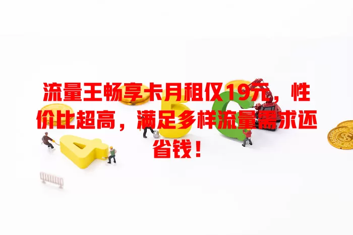 流量王畅享卡月租仅19元，性价比超高，满足多样流量需求还省钱！