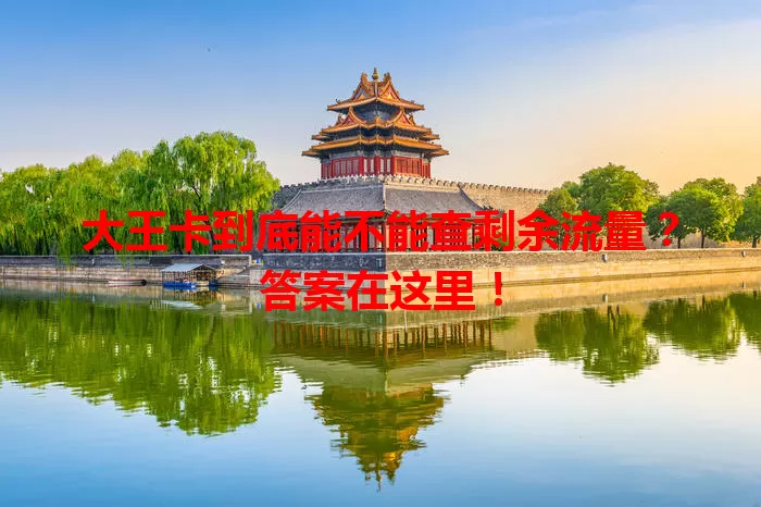 大王卡到底能不能查剩余流量？答案在这里！