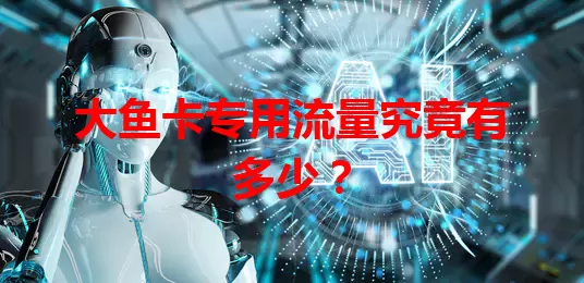 大鱼卡专用流量究竟有多少？