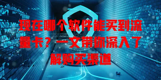 现在哪个软件能买到流量卡？一文带你深入了解购买渠道
