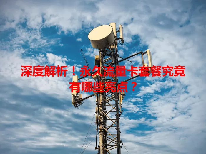 深度解析！永久流量卡套餐究竟有哪些亮点？