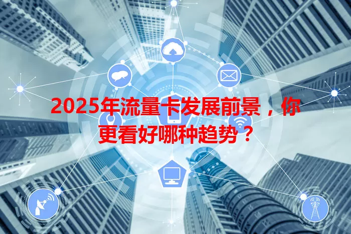 2025年流量卡发展前景，你更看好哪种趋势？