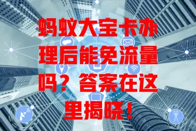 蚂蚁大宝卡办理后能免流量吗？答案在这里揭晓！