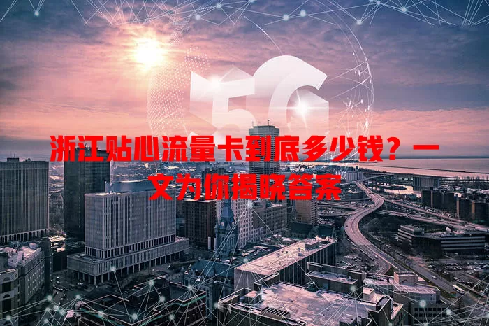 浙江贴心流量卡到底多少钱？一文为你揭晓答案