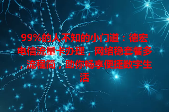 99%的人不知的小门道：德宏电信流量卡办理，网络稳套餐多，流程简，助你畅享便捷数字生活