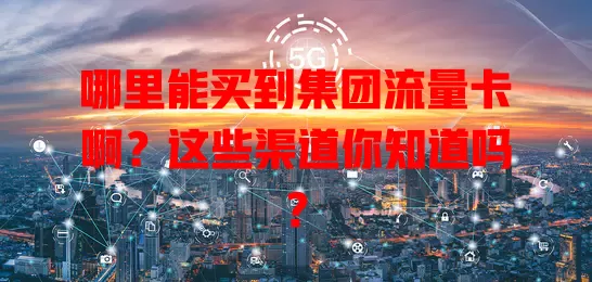 哪里能买到集团流量卡啊？这些渠道你知道吗？