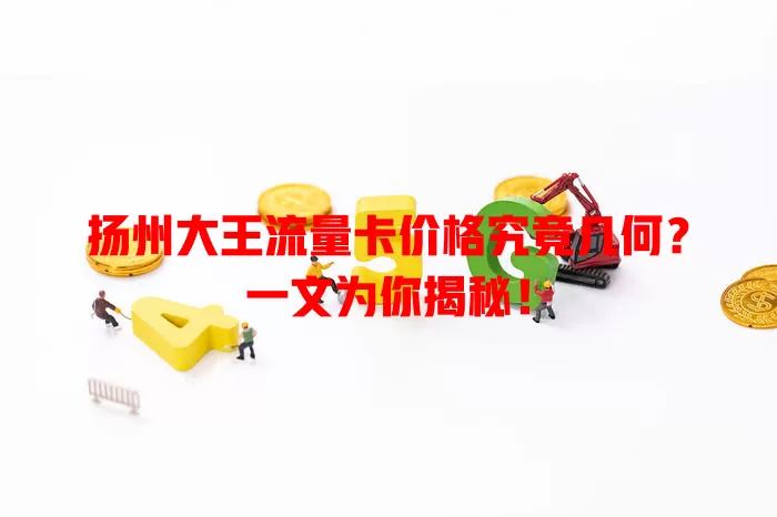 扬州大王流量卡价格究竟几何？一文为你揭秘！