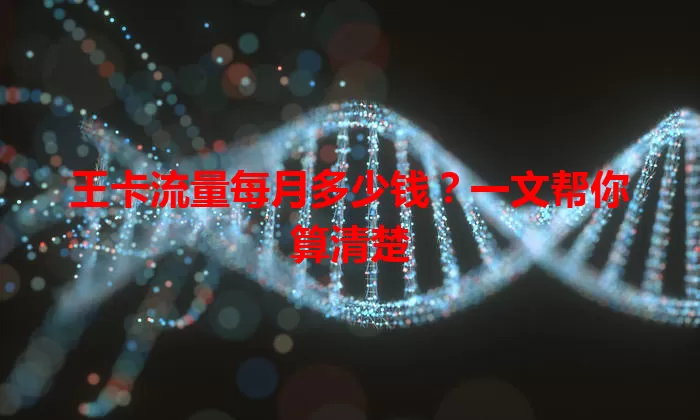 王卡流量每月多少钱？一文帮你算清楚