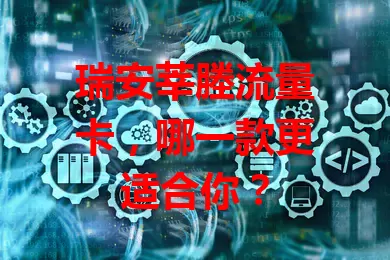 瑞安莘塍流量卡，哪一款更适合你？