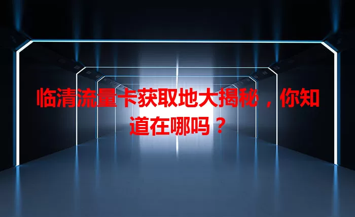 临清流量卡获取地大揭秘，你知道在哪吗？