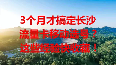 3个月才搞定长沙流量卡移动选号？这些经验快收藏！