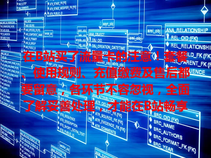 在B站买了流量卡的注意！套餐、使用规则、充值缴费及售后都要留意，各环节不容忽视，全面了解妥善处理，才能在B站畅享精彩