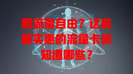 想流量自由？这些最实惠的流量卡你知道哪些？