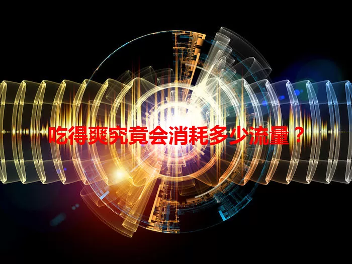 吃得爽究竟会消耗多少流量？