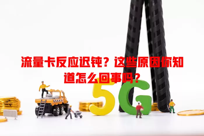 流量卡反应迟钝？这些原因你知道怎么回事吗？