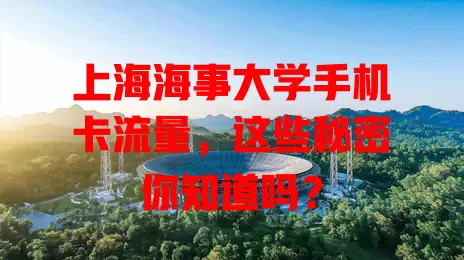 上海海事大学手机卡流量，这些秘密你知道吗？