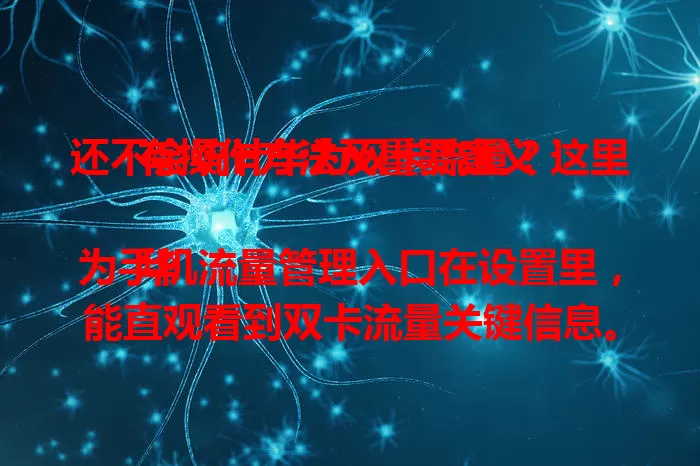 还不会统计华为双卡流量？这里有操作方法及重要意义！

华为手机流量管理入口在设置里，能直观看到双卡流量关键信息。可了解消耗趋势，合理分配资源，还能预测流量、对比分析，科学管理流量不浪费。