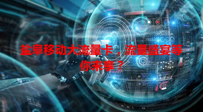 盐阜移动大流量卡，流量盛宴等你来享？