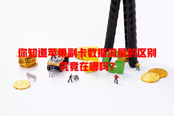 你知道苹果副卡数据流量的区别究竟在哪吗？