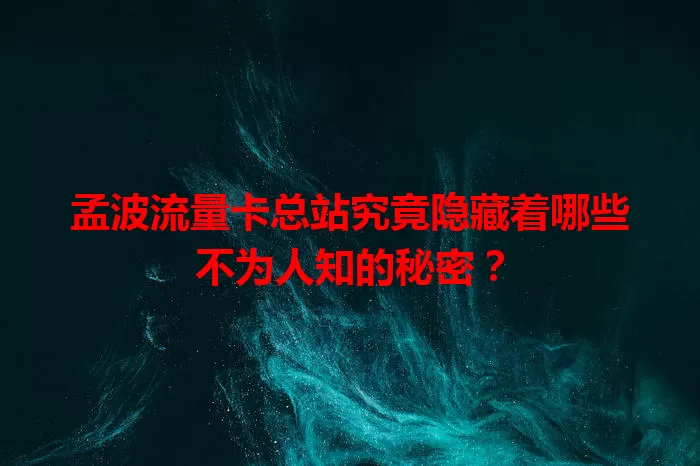 孟波流量卡总站究竟隐藏着哪些不为人知的秘密？