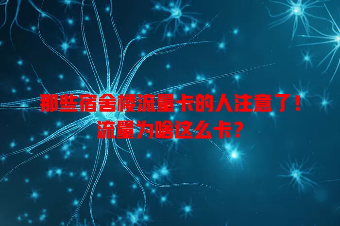 那些宿舍楼流量卡的人注意了！流量为啥这么卡？