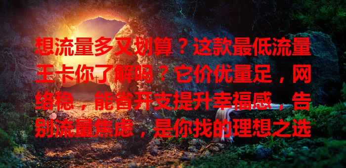 想流量多又划算？这款最低流量王卡你了解吗？它价优量足，网络稳，能省开支提升幸福感，告别流量焦虑，是你找的理想之选，快来畅享流量盛宴！