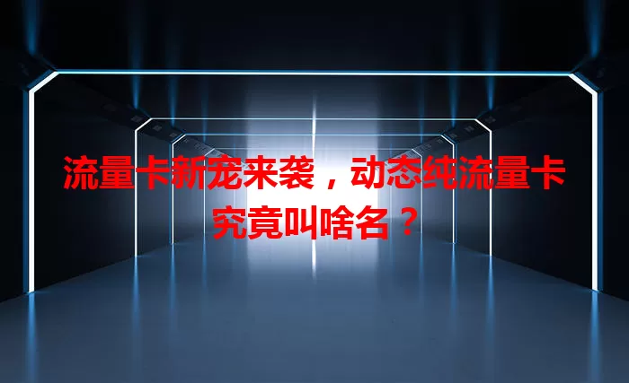 流量卡新宠来袭，动态纯流量卡究竟叫啥名？