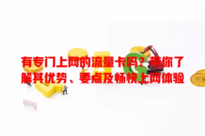 有专门上网的流量卡吗？带你了解其优势、要点及畅快上网体验