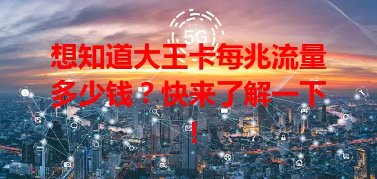 想知道大王卡每兆流量多少钱？快来了解一下！