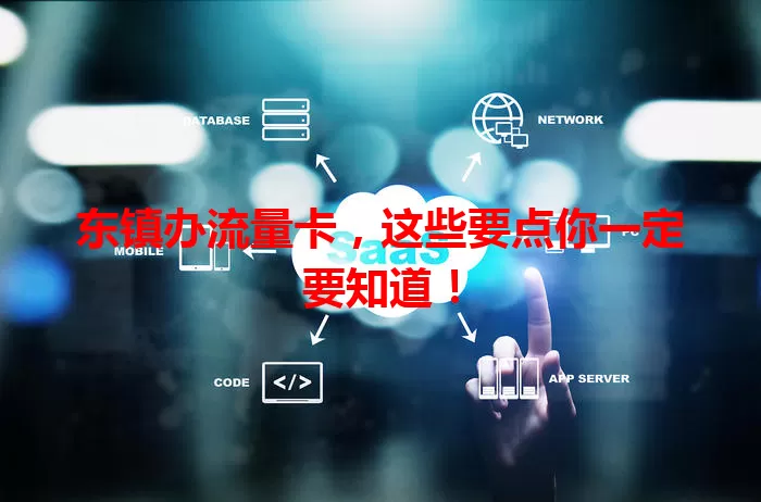 东镇办流量卡，这些要点你一定要知道！