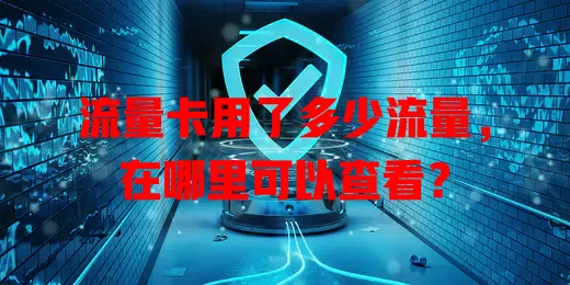 流量卡用了多少流量，在哪里可以查看？