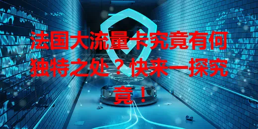 法国大流量卡究竟有何独特之处？快来一探究竟！