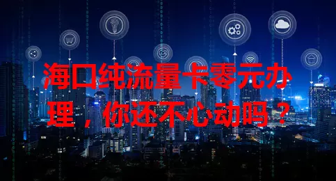 海口纯流量卡零元办理，你还不心动吗？