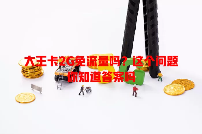 大王卡2G免流量吗？这个问题你知道答案吗