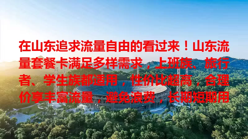在山东追求流量自由的看过来！山东流量套餐卡满足多样需求，上班族、旅行者、学生族都适用，性价比超高，合理价享丰富流量，避免浪费，长期短期用都实惠，是畅享网络生活的得力助手