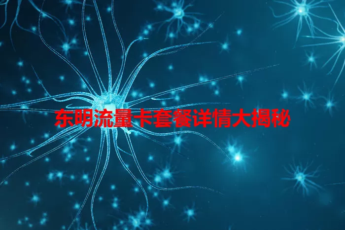 东明流量卡套餐详情大揭秘