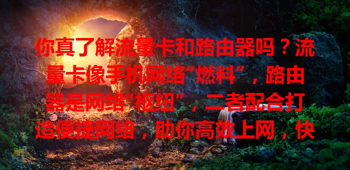 你真了解流量卡和路由器吗？流量卡像手机网络“燃料”，路由器是网络“枢纽”，二者配合打造便捷网络，助你高效上网，快来深入了解！