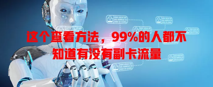 这个查看方法，99%的人都不知道有没有副卡流量