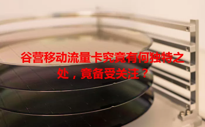 谷营移动流量卡究竟有何独特之处，竟备受关注？