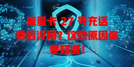 流量卡 27 号充话费后没网？这些原因你要知道！