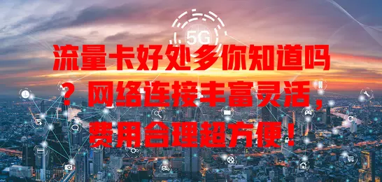 流量卡好处多你知道吗？网络连接丰富灵活，费用合理超方便！