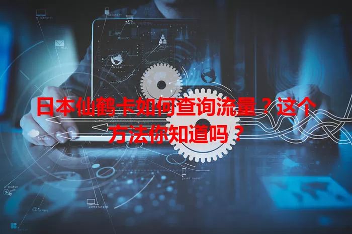 日本仙鹤卡如何查询流量？这个方法你知道吗？