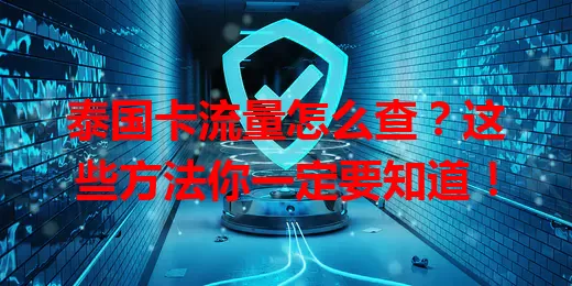 泰国卡流量怎么查？这些方法你一定要知道！