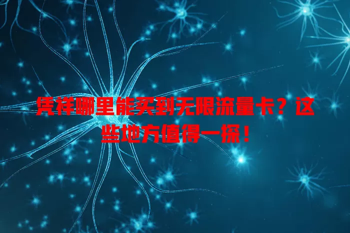 凭祥哪里能买到无限流量卡？这些地方值得一探！