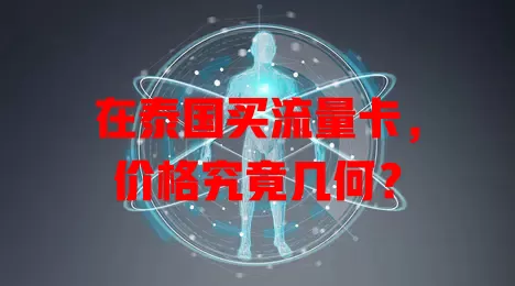 在泰国买流量卡，价格究竟几何？