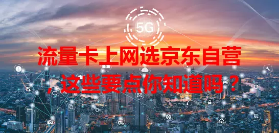 流量卡上网选京东自营，这些要点你知道吗？